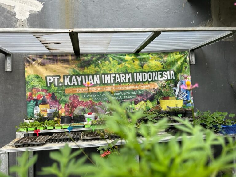 Berkebun ala Infarm