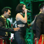 zasjia gotik 4